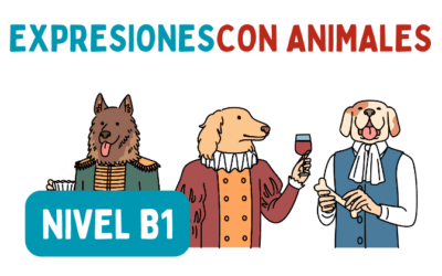 Expresiones con animales (B1)